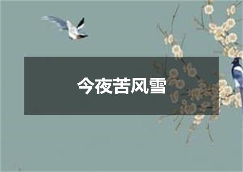 今夜苦风雪