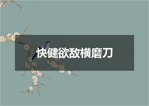 快健欲敌横磨刀