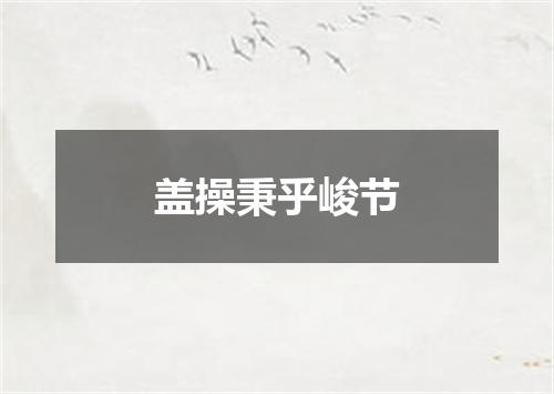 盖操秉乎峻节