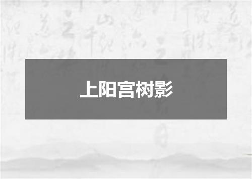 上阳宫树影