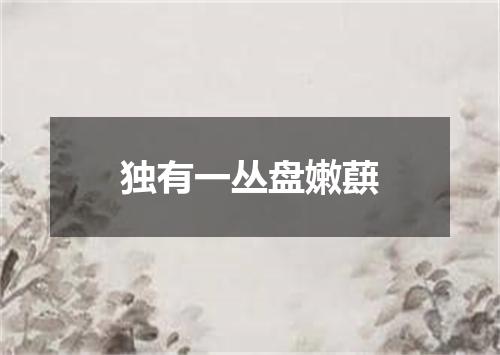 独有一丛盘嫩蕻