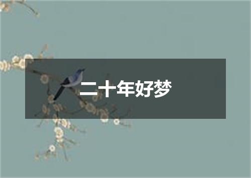 二十年好梦