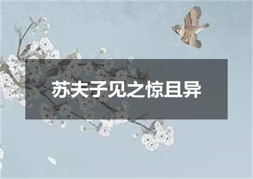 苏夫子见之惊且异