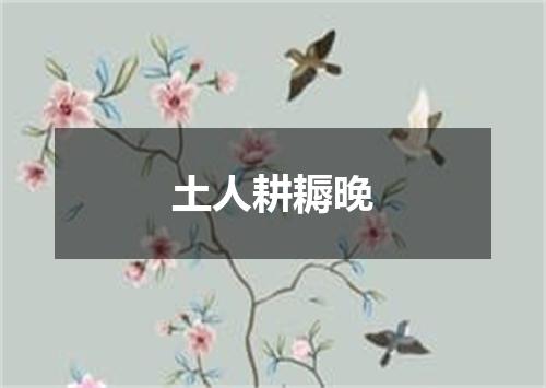 土人耕耨晚