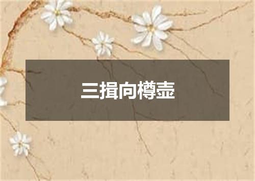 三揖向樽壶