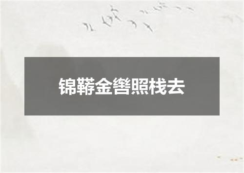 锦鞯金辔照栈去