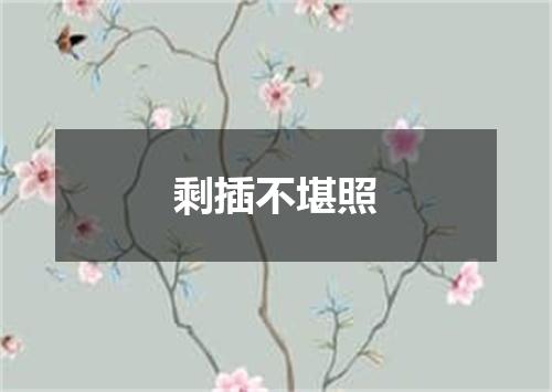 剩插不堪照