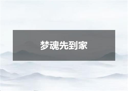 梦魂先到家