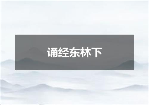 诵经东林下