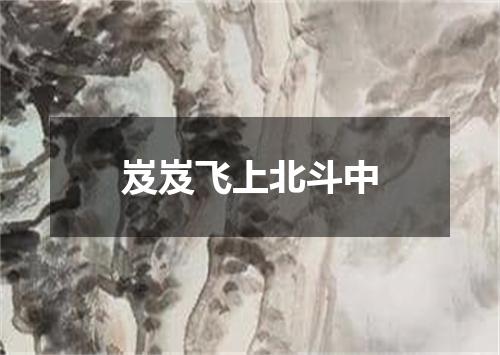 岌岌飞上北斗中