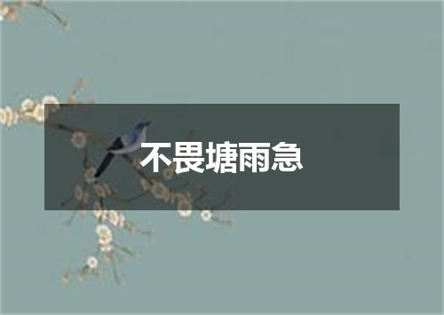 不畏塘雨急