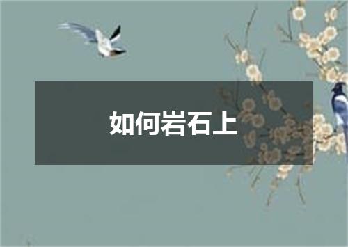 如何岩石上