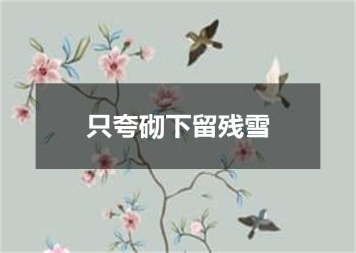 只夸砌下留残雪