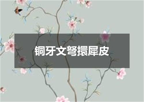 铜牙文弩擐犀皮