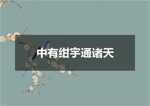 中有绀宇通诸天