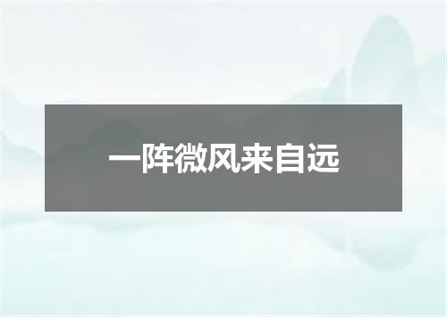 一阵微风来自远