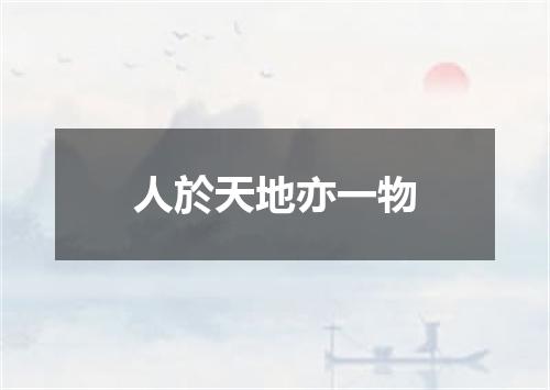 人於天地亦一物