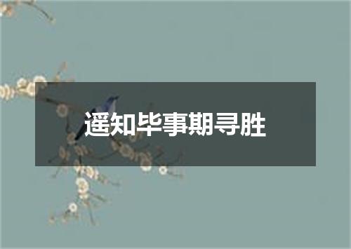 遥知毕事期寻胜