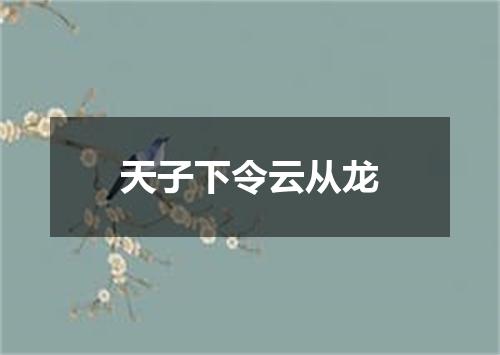 天子下令云从龙