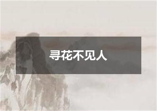 寻花不见人
