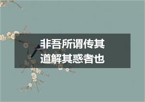 非吾所谓传其道解其惑者也