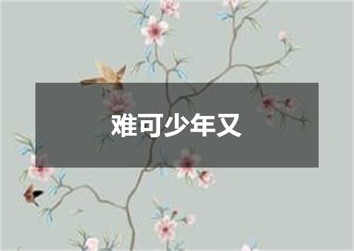 难可少年又
