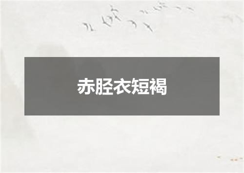 赤胫衣短褐