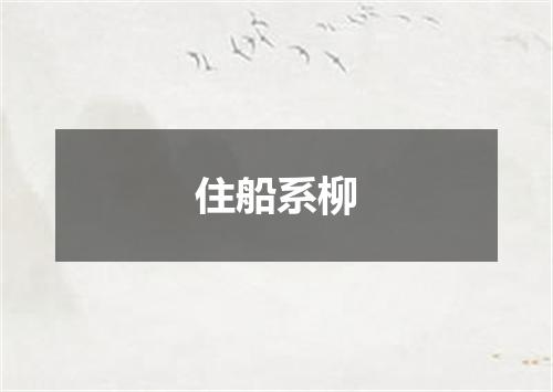 住船系柳