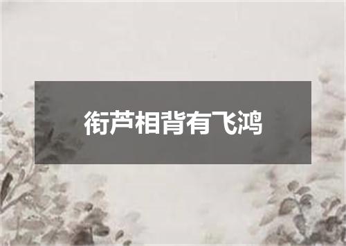 衔芦相背有飞鸿