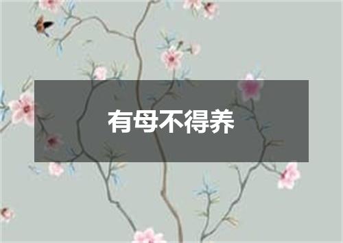 有母不得养