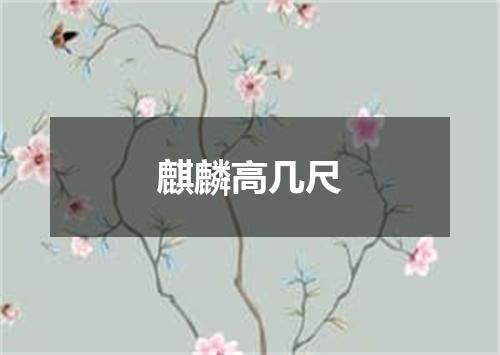 麒麟高几尺