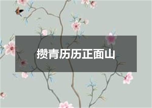 攒青历历正面山