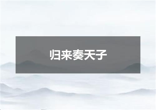 归来奏天子