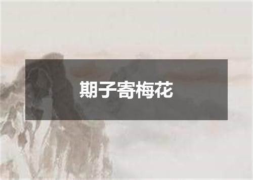 期子寄梅花