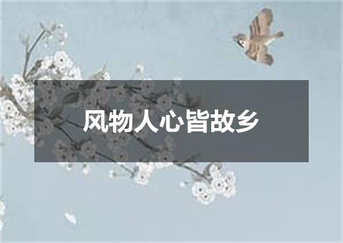 风物人心皆故乡