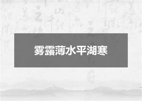 雾露薄水平湖寒