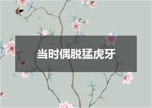 当时偶脱猛虎牙