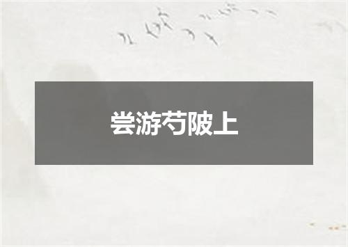 尝游芍陂上