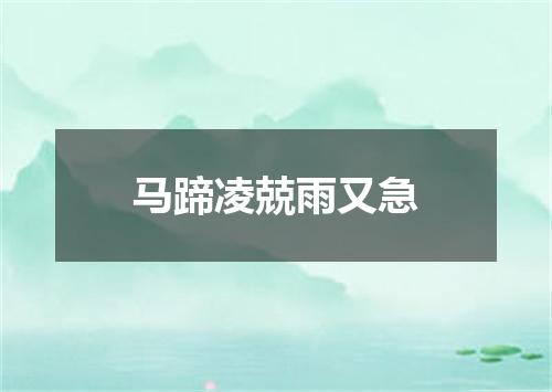 马蹄凌兢雨又急