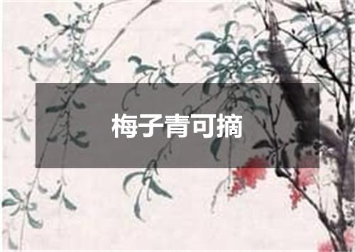 梅子青可摘