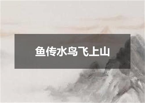 鱼传水鸟飞上山