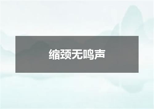 缩颈无鸣声