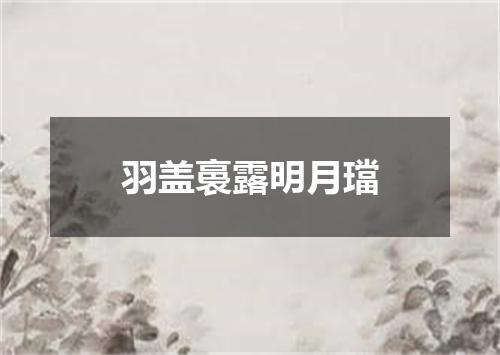 羽盖裛露明月璫