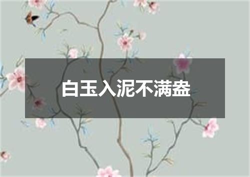 白玉入泥不满盎