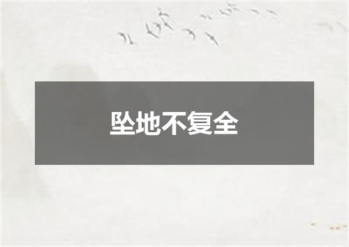 坠地不复全