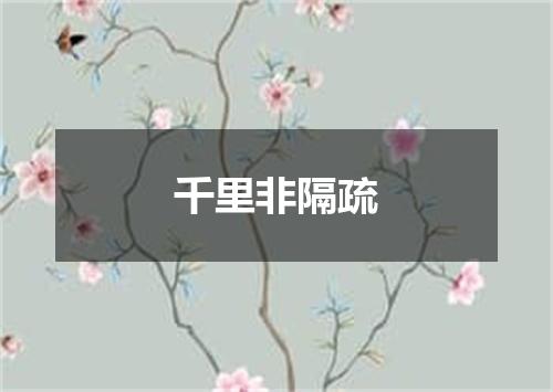 千里非隔疏