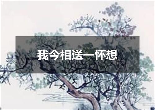 我今相送一怀想