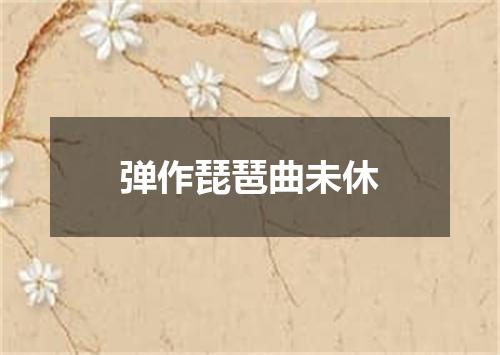 弹作琵琶曲未休
