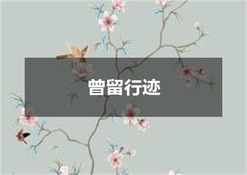 曾留行迹