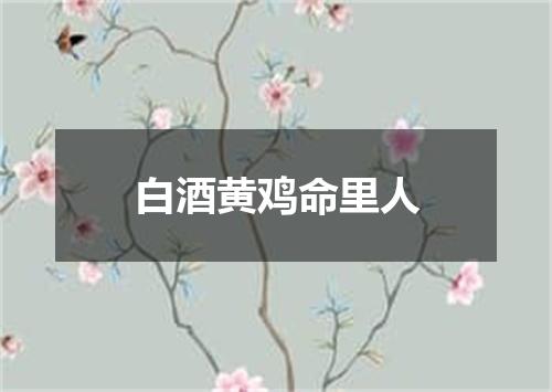 白酒黄鸡命里人
